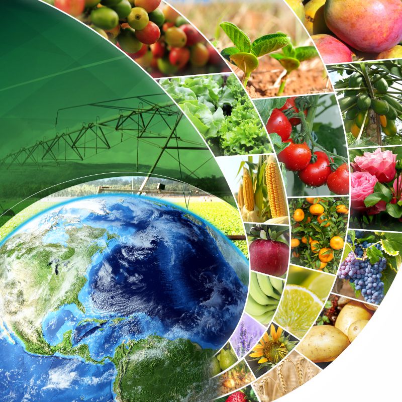 Valett Grow Agro